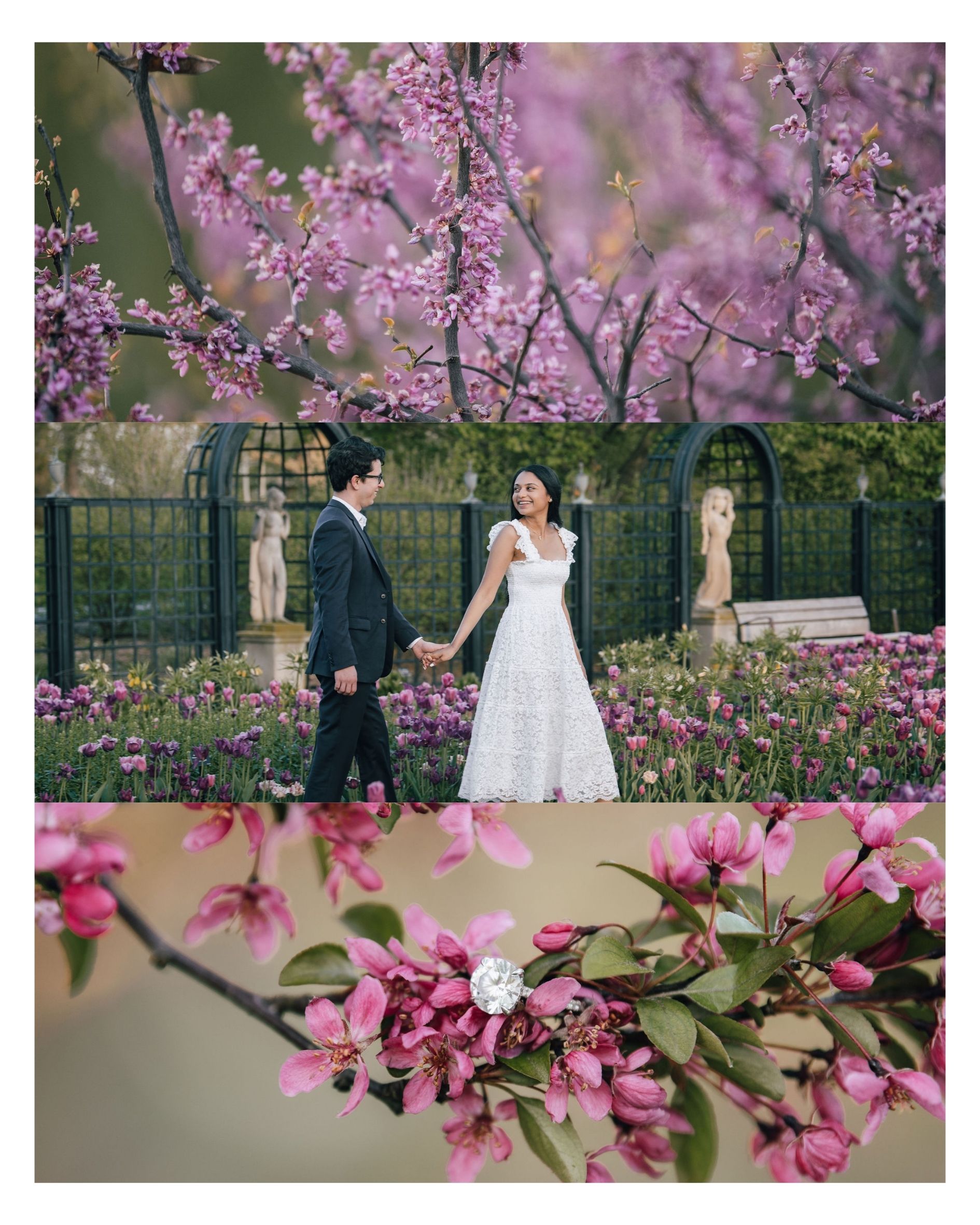 Cantigny Park Engagement Photos Wheaton Illinois